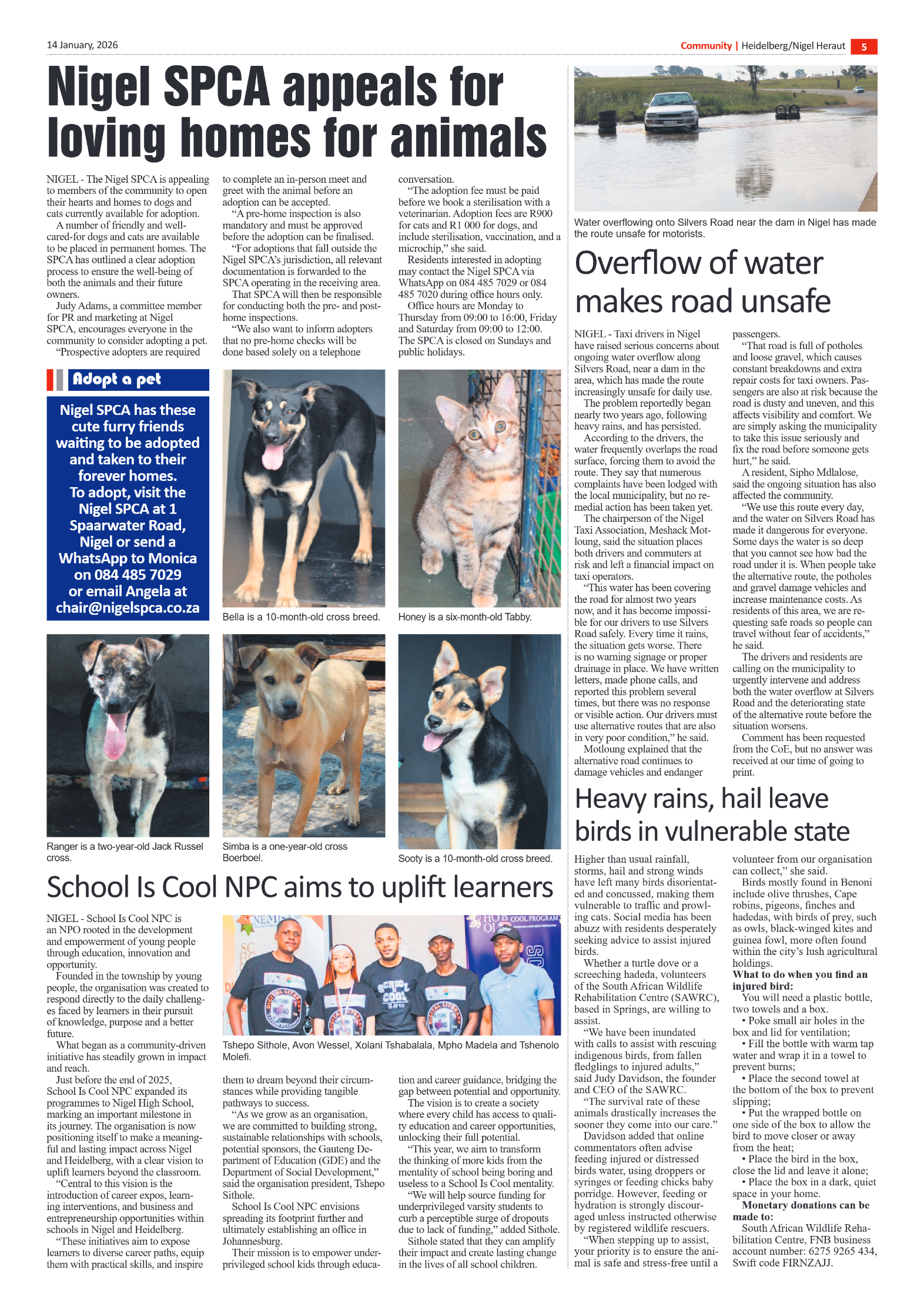 Heidelberg Nigel Heraut 14 January 2026 page 5