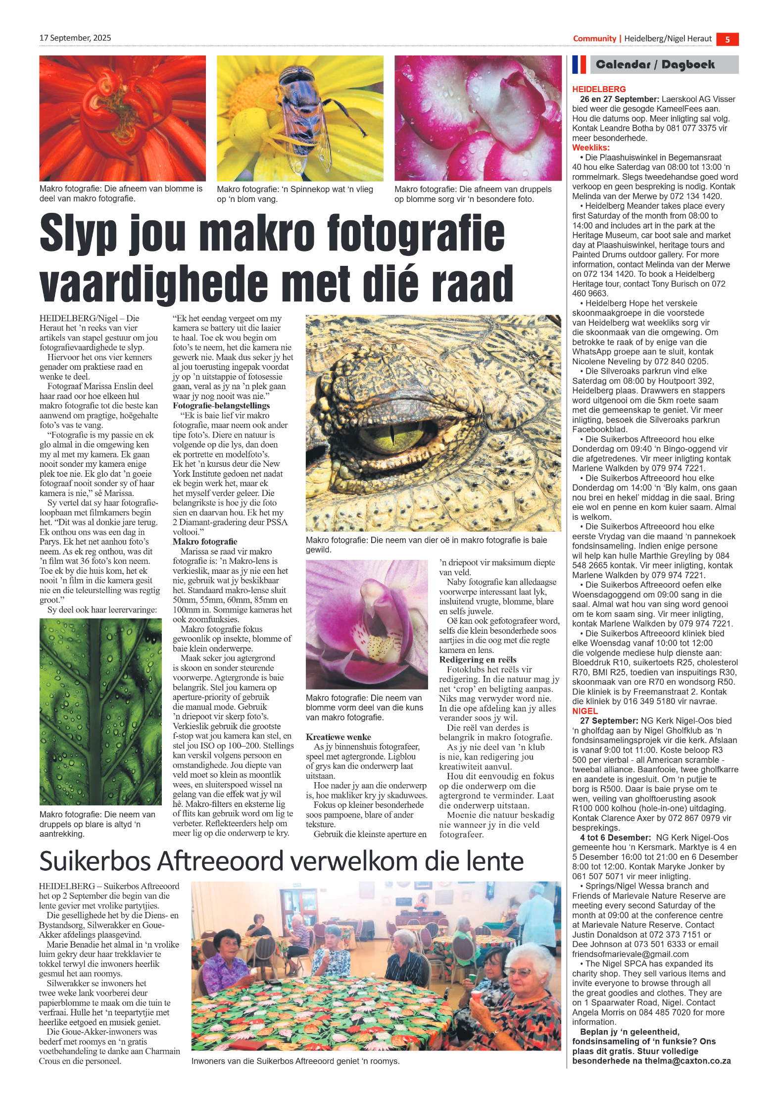 Heidelberg Nigel Heraut 17 September 2025 page 5