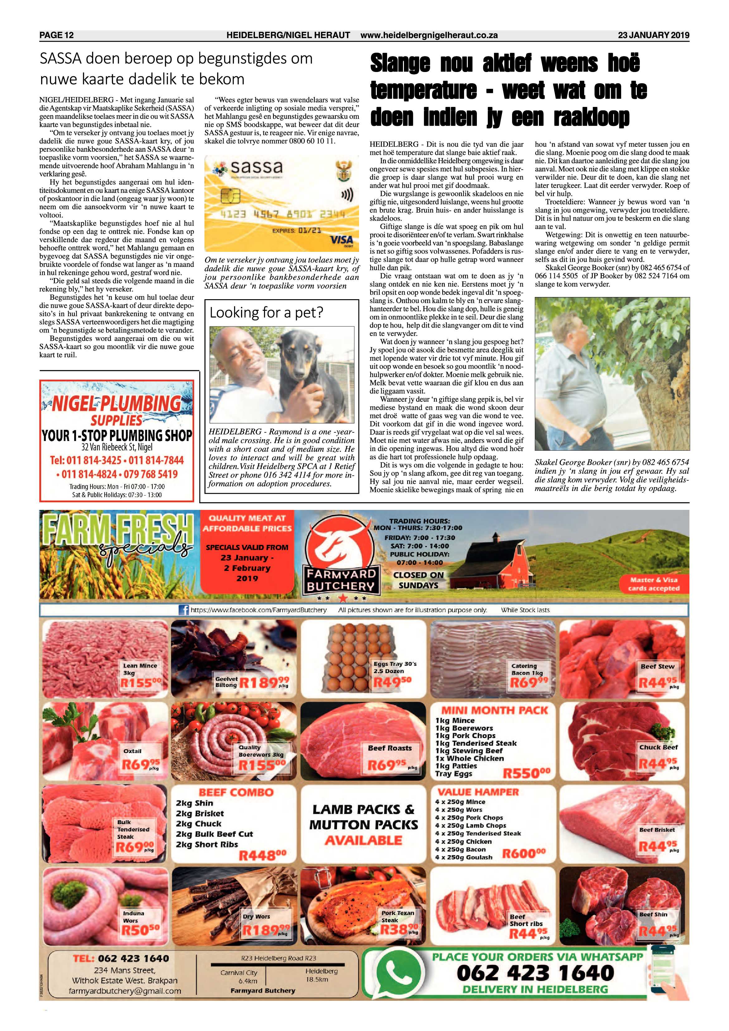 Heidelberg Nigel Heraut 23 January 2019 page 12