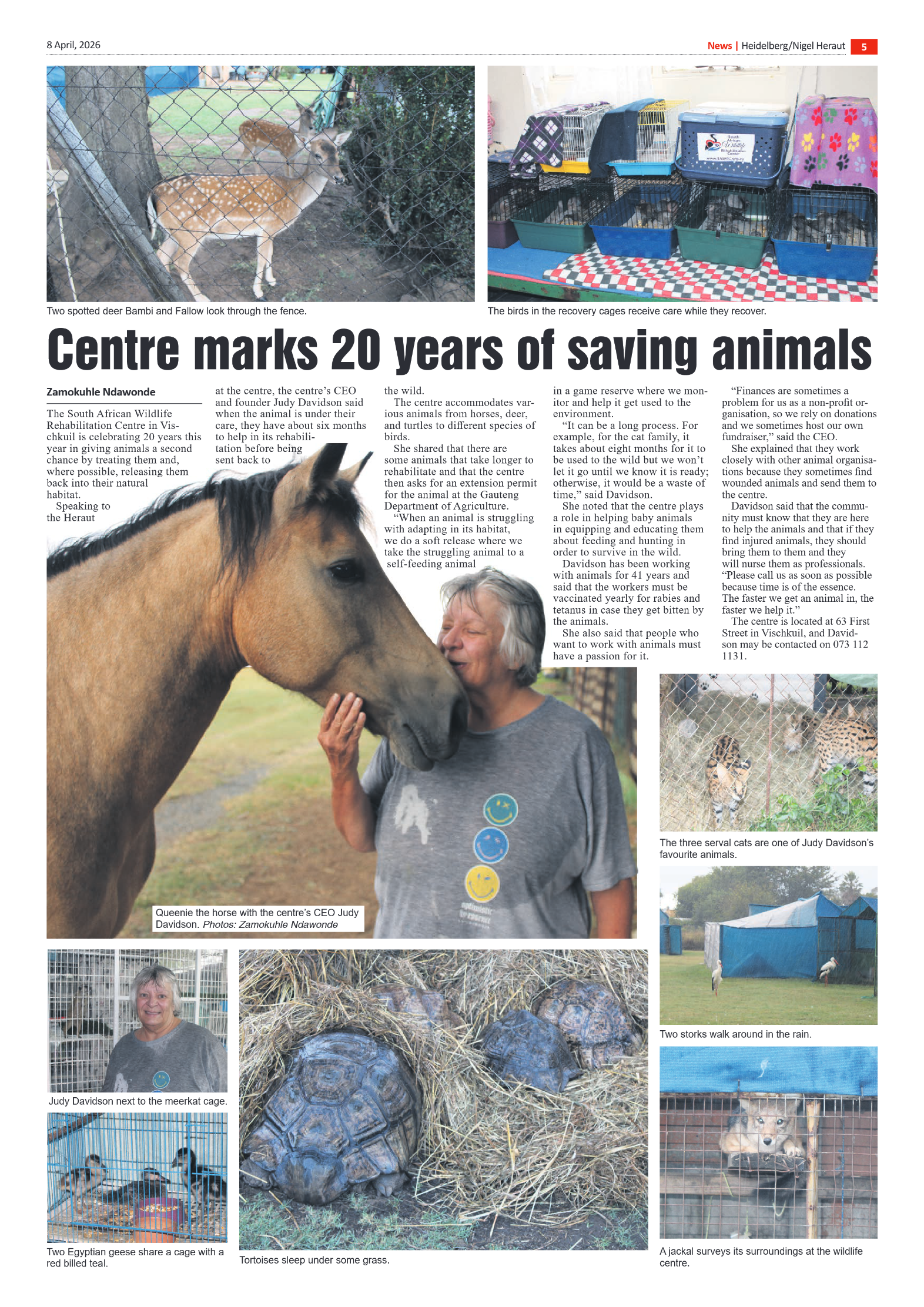 Heidelberg Nigel Heraut 8 April 2026 page 5